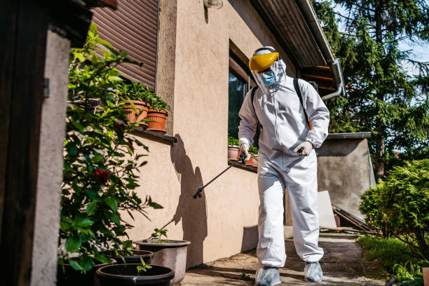 Best Best Pest Control Companies  in Dutch Island, GA