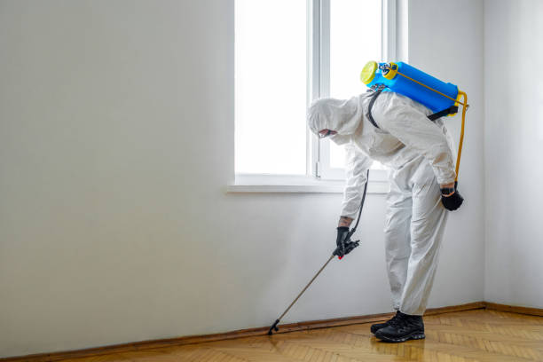 Best Wasp Removal Services  in Dutch Island, GA