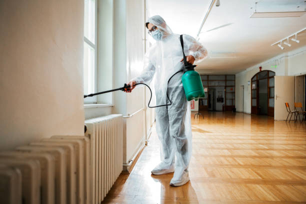 Best Pest Inspection Near Me  in Dutch Island, GA