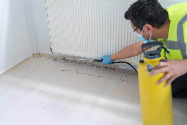 Best Wasp Removal Services  in Dutch Island, GA