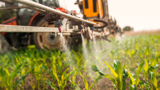 Best Commercial Pest Control Services  in Dutch Island, GA